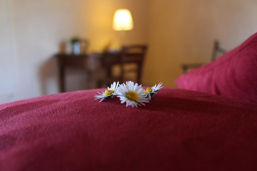 Agriturismo Casavecchia فيليني فالدارنو المظهر الخارجي الصورة
